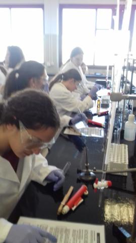 facultadquimica21.jpg