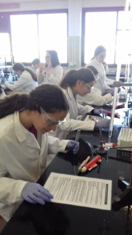 facultadquimica22.jpg