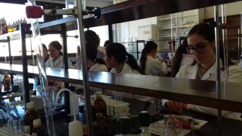 facultadquimica25.jpg