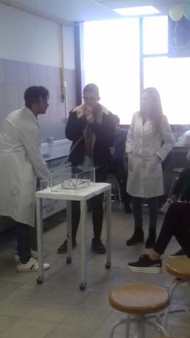 facultadquimica29.jpg