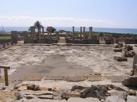 foro.jpg