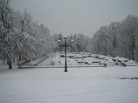 foto_24.jpg