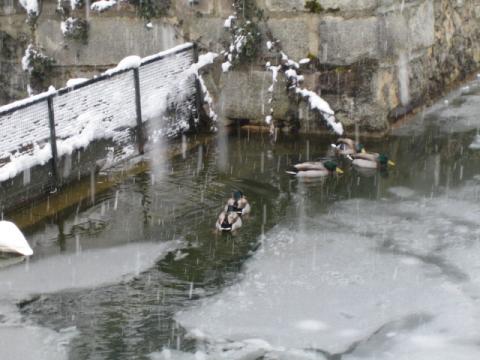 foto_35.jpg