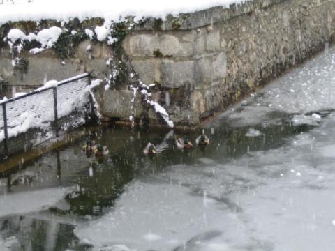 foto_36.jpg