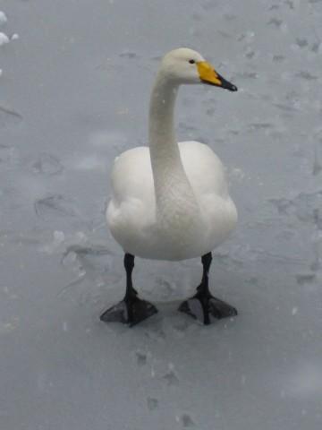 foto_40.jpg