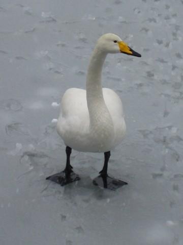 foto_41.jpg