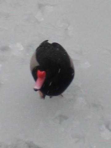 foto_42.jpg