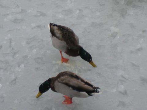 foto_43.jpg