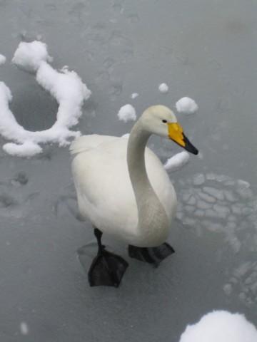 foto_44.jpg