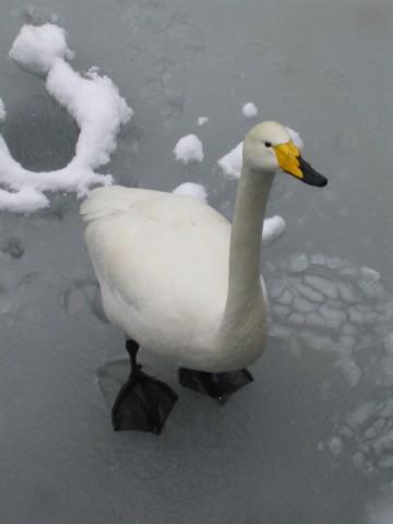 foto_45.jpg