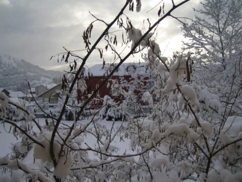 foto_51.jpg