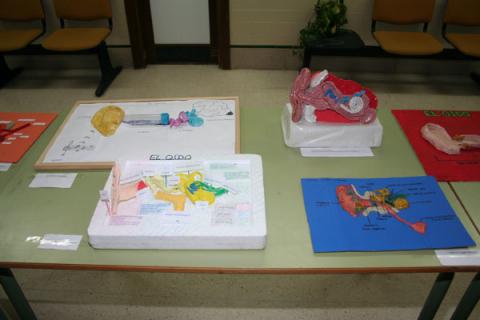 ils05.jpg