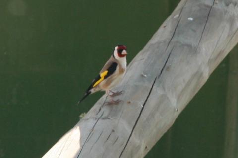 imagen08.jpg