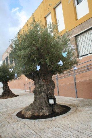 imagen_021.jpg