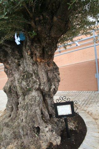 imagen_027.jpg