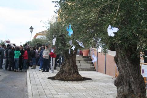 imagen_036.jpg