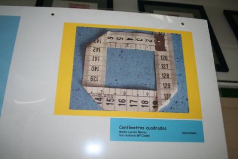 imagen_486.jpg