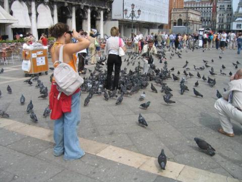 italia86.jpg
