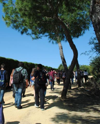italica01.jpg