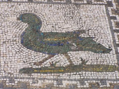 italica_10.jpg