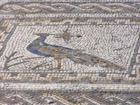 italica_9.jpg