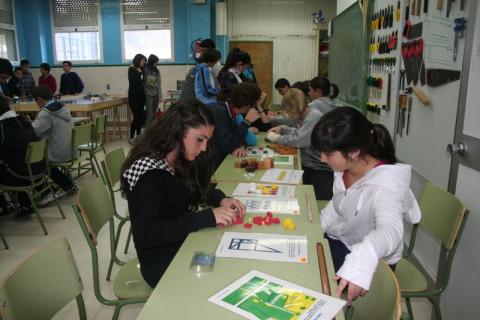jornadaciencia15.jpg
