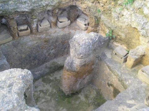 p1010003.jpg