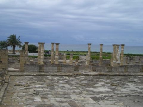 p1010014.jpg