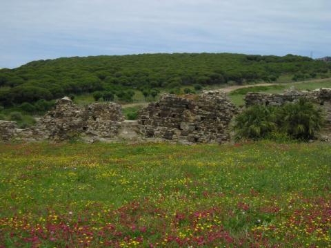 p1010025.jpg