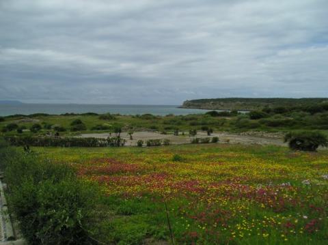 p1010029.jpg
