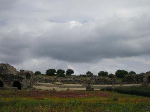 p1010031.jpg