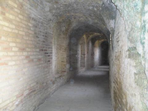 p1010031.jpg