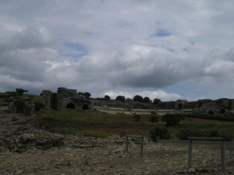 p1010034.jpg