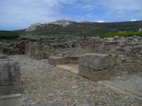 p1010036.jpg