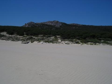 p1010048.jpg