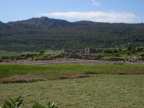 p1010067.jpg