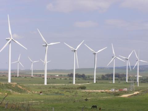 p4190001.jpg