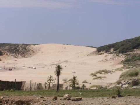 p4190013.jpg