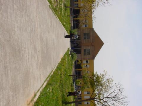 patio1.jpg