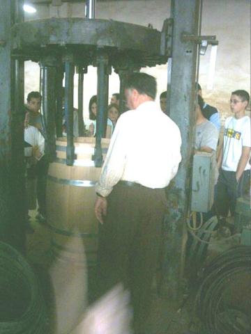 phto0029.jpg