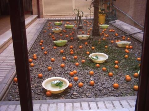 pict0014.jpg