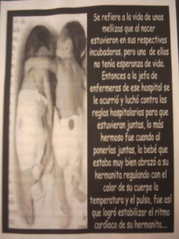 pict0045.jpg