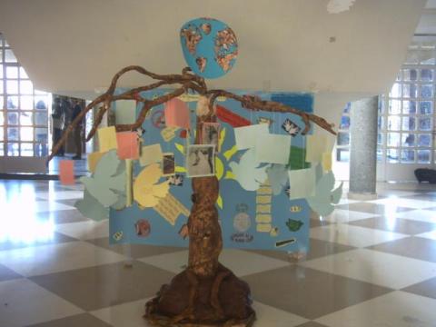 pict0064.jpg