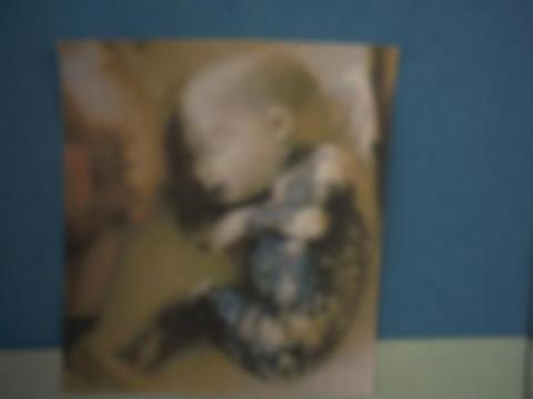 pict0099.jpg