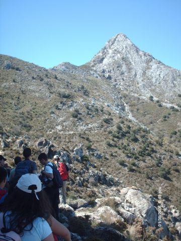 pinsapar12.jpg