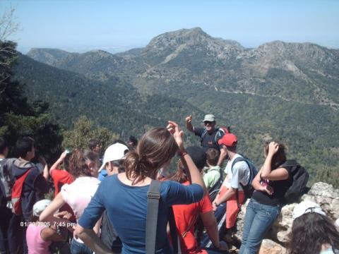 pinsapar15.jpg