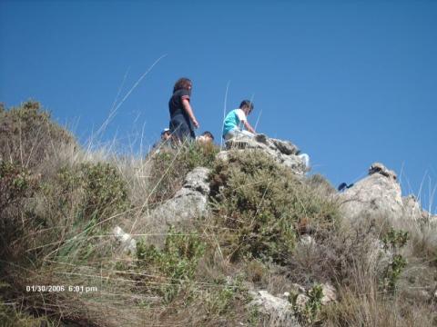 pinsapar9.jpg
