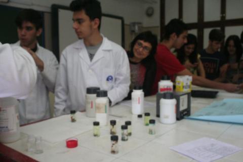 semanadelaquimica11.jpg