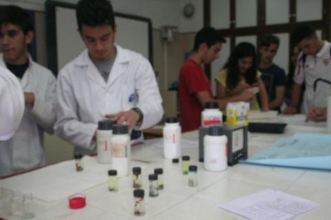 semanadelaquimica12.jpg