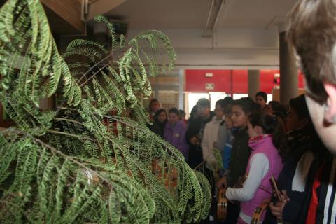 visitabelen03.jpg